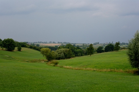 2015-the-view